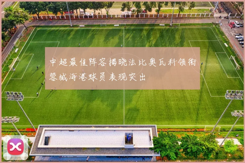 中超最佳阵容揭晓法比奥瓦科领衔蓉城海港球员表现突出