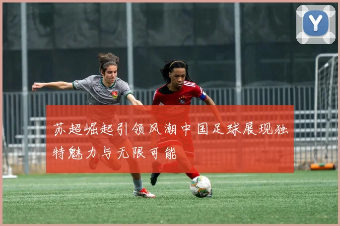 苏超崛起引领风潮中国足球展现独特魅力与无限可能