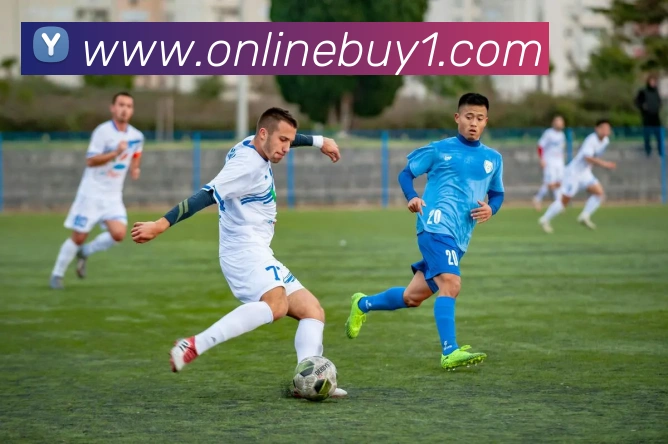 App Interface Preview