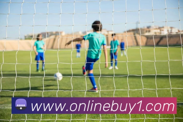 在线买球网站APP 封面图